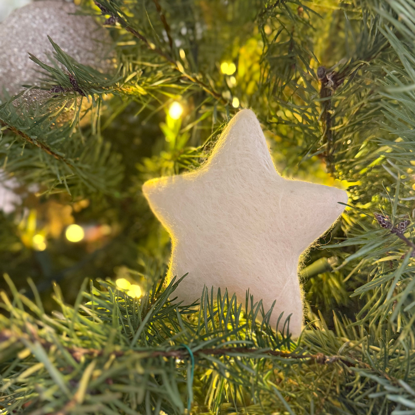 Star - Felted Decoration