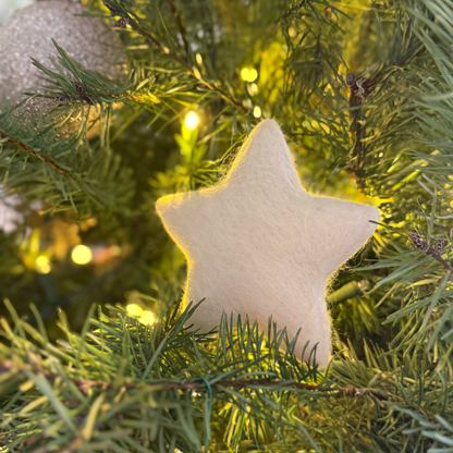 Star - Felted Decoration