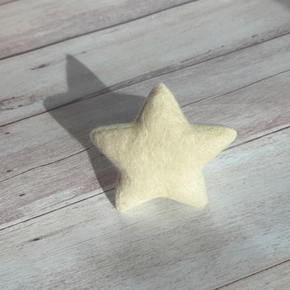 Star - Felted Decoration